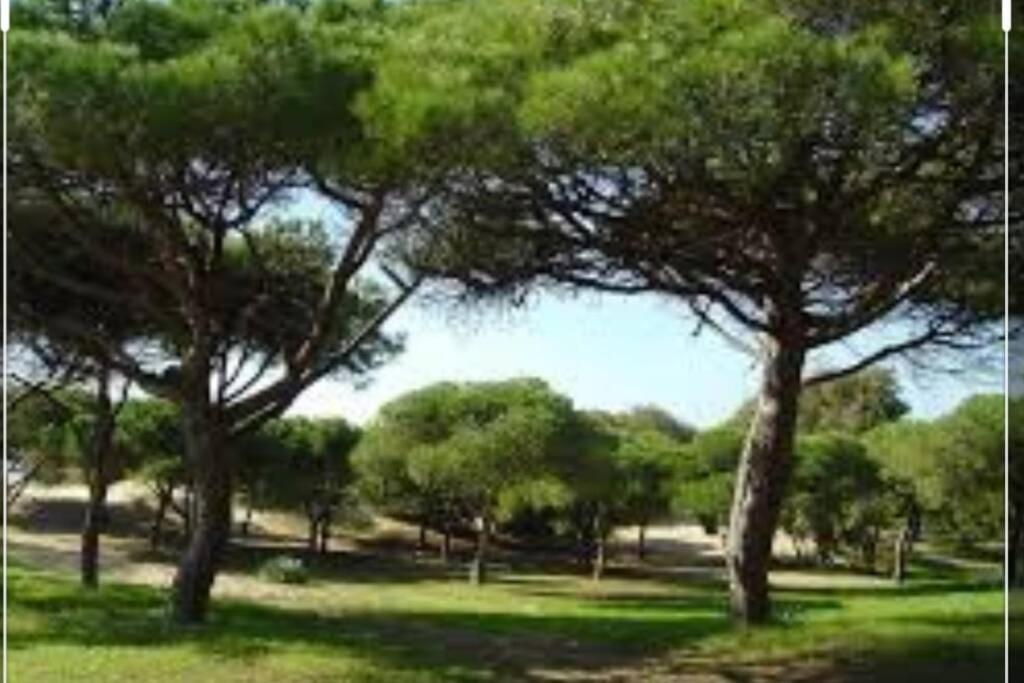 Acogedor Apartamento A 100 M. De Pinares Y Playa Leilighet Rota Eksteriør bilde
