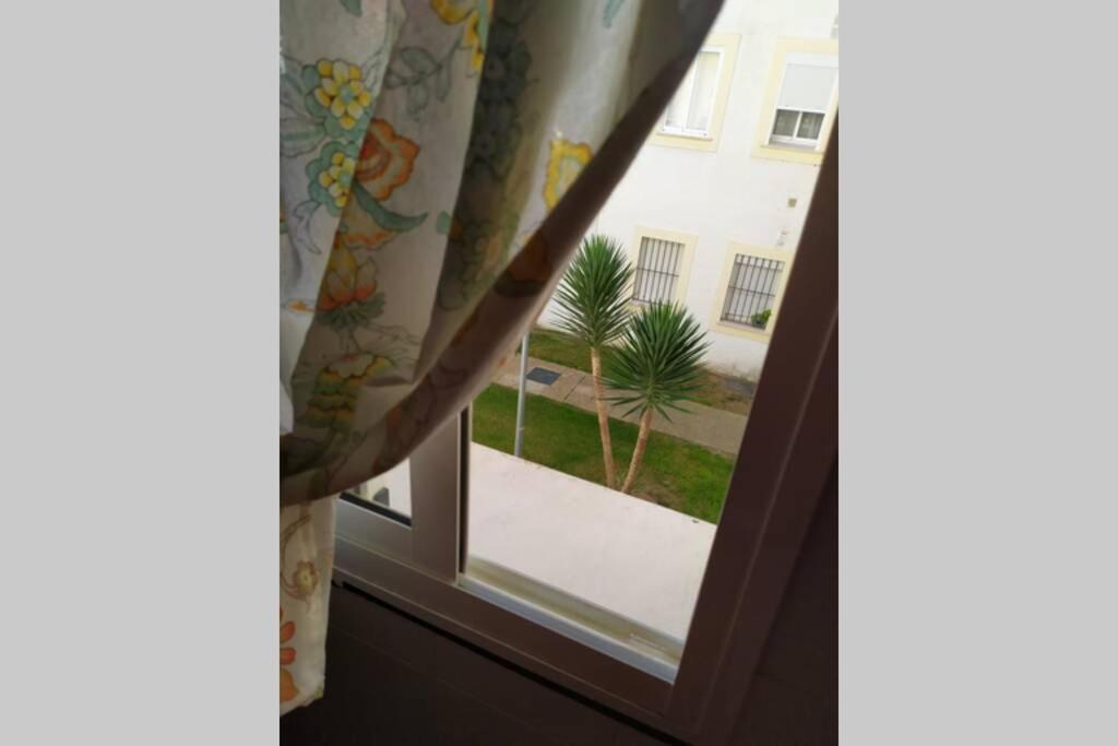 Acogedor Apartamento A 100 M. De Pinares Y Playa Leilighet Rota Eksteriør bilde