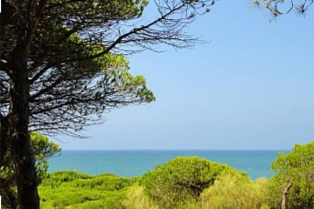 Acogedor Apartamento A 100 M. De Pinares Y Playa Leilighet Rota Eksteriør bilde