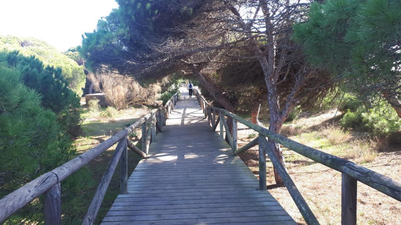 Acogedor Apartamento A 100 M. De Pinares Y Playa Leilighet Rota Eksteriør bilde