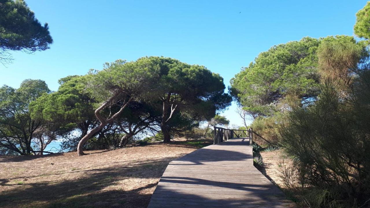 Acogedor Apartamento A 100 M. De Pinares Y Playa Leilighet Rota Eksteriør bilde