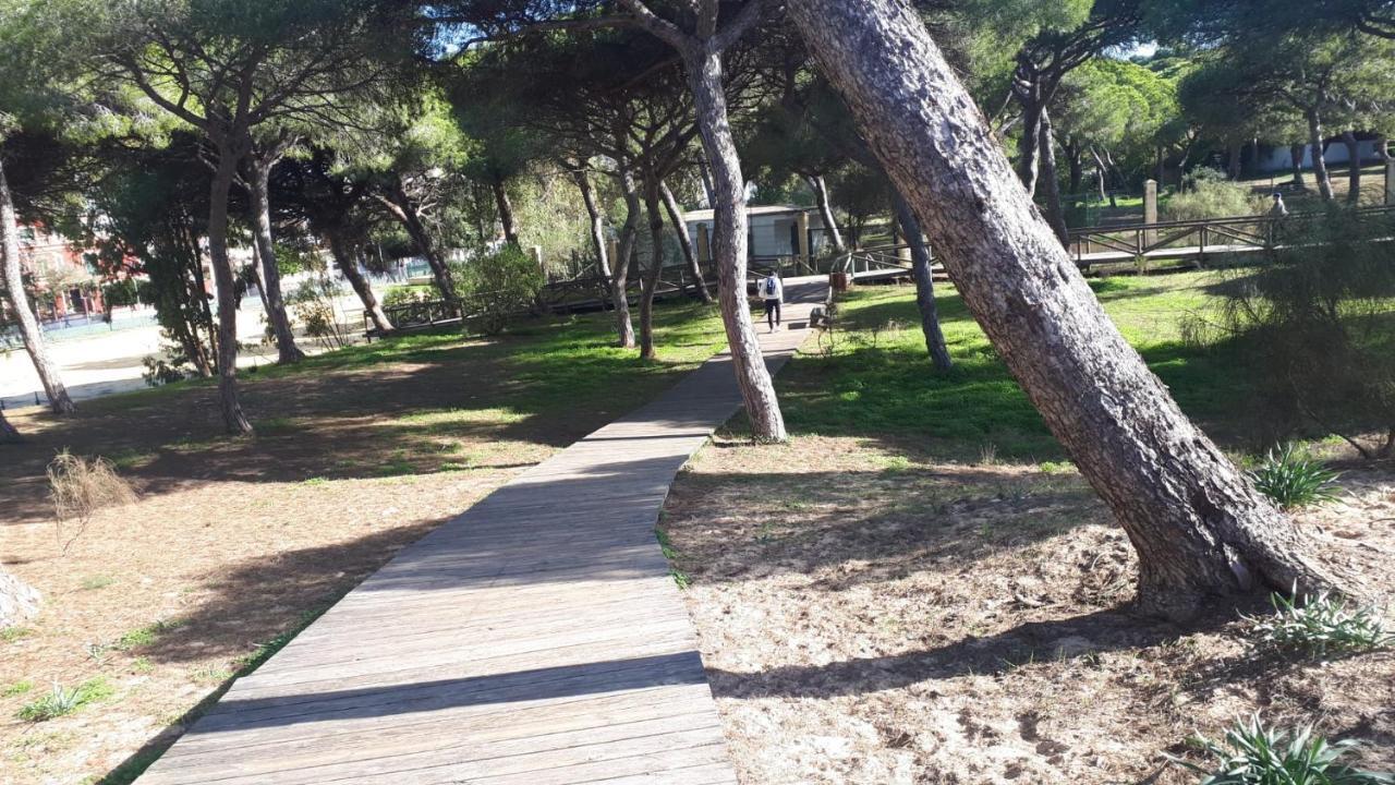 Acogedor Apartamento A 100 M. De Pinares Y Playa Leilighet Rota Eksteriør bilde