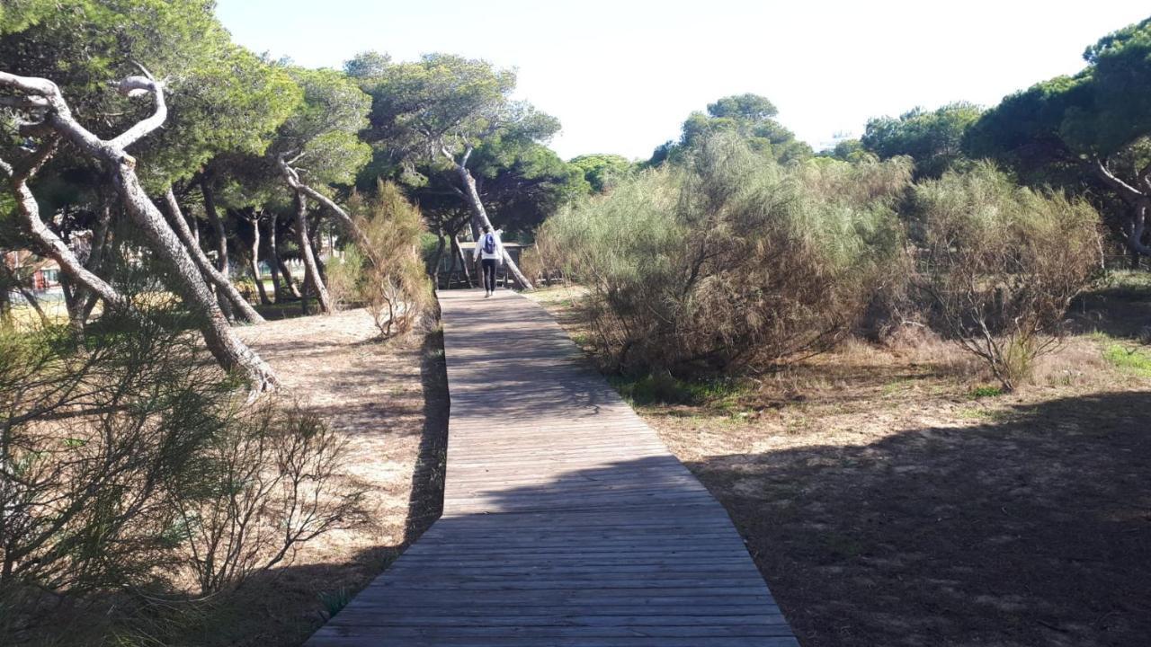Acogedor Apartamento A 100 M. De Pinares Y Playa Leilighet Rota Eksteriør bilde
